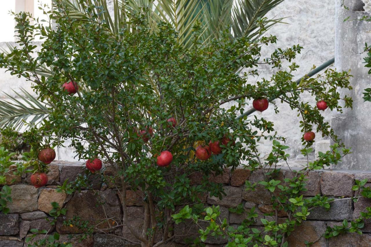 Вилла Aegina Dorfhaus Pakhia Rakhi Экстерьер фото